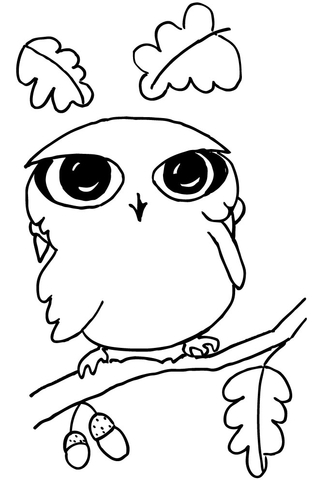 Funny Little Owl  Coloring Page